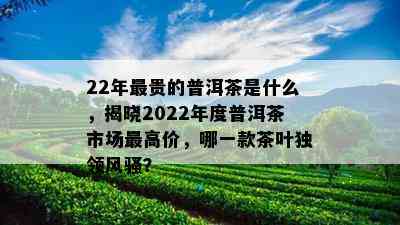 22年最贵的普洱茶是什么，揭晓2022年度普洱茶市场更高价，哪一款茶叶独领 *** ？