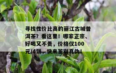 寻找性价比高的丽江古城普洱茶？看这里！哪家正宗、好喝又不贵，价格仅100元/4饼，快来鉴别真伪！