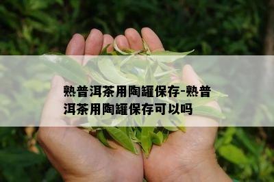 熟普洱茶用陶罐保存-熟普洱茶用陶罐保存可以吗