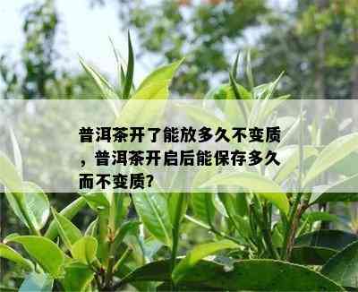 普洱茶开了能放多久不变质，普洱茶开启后能保存多久而不变质？