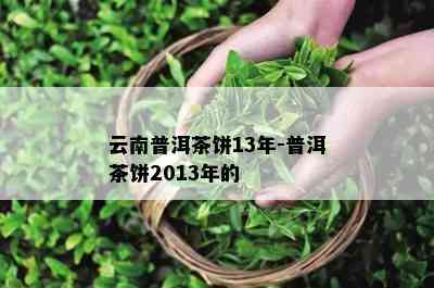 云南普洱茶饼13年-普洱茶饼2013年的