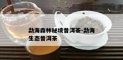 勐海森林秘境普洱茶-勐海生态普洱茶