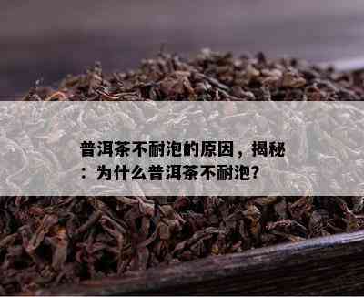 普洱茶不耐泡的原因，揭秘：为什么普洱茶不耐泡？