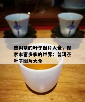 普洱茶的叶子图片大全，探索丰富多彩的世界：普洱茶叶子图片大全