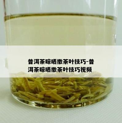 普洱茶晾晒撒茶叶技巧-普洱茶晾晒撒茶叶技巧视频