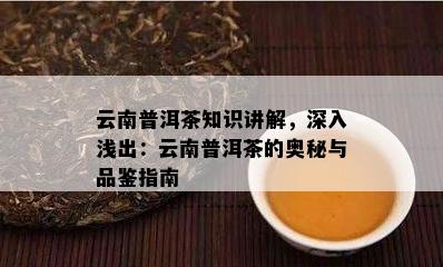 云南普洱茶知识讲解，深入浅出：云南普洱茶的奥秘与品鉴指南