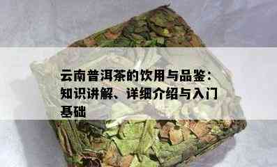 云南普洱茶的饮用与品鉴：知识讲解、详细介绍与入门基础