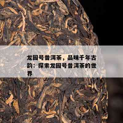 龙园号普洱茶，品味千年古韵：探索龙园号普洱茶的世界