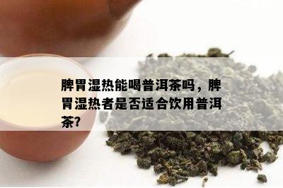 脾胃湿热能喝普洱茶吗，脾胃湿热者是否适合饮用普洱茶？