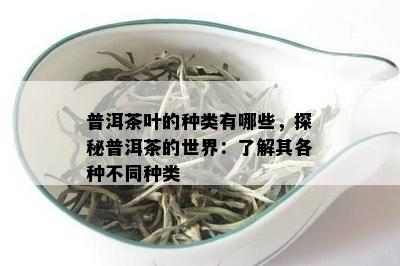 普洱茶叶的种类有哪些，探秘普洱茶的世界：了解其各种不同种类