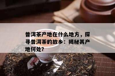 普洱茶产地在什么地方，探寻普洱茶的故乡：揭秘其产地何处？