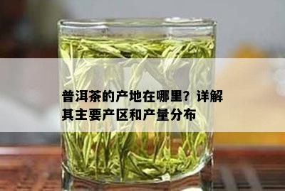 普洱茶的产地在哪里？详解其主要产区和产量分布