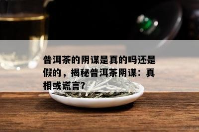 普洱茶的阴谋是真的吗还是假的，揭秘普洱茶阴谋：真相或谎言？