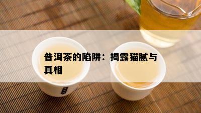 普洱茶的陷阱：揭露猫腻与真相