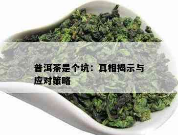 普洱茶是个坑：真相揭示与应对策略