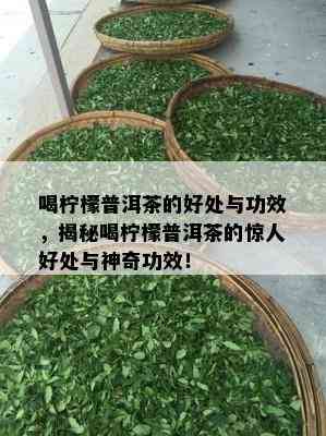 喝柠檬普洱茶的好处与功效，揭秘喝柠檬普洱茶的惊人好处与神奇功效！