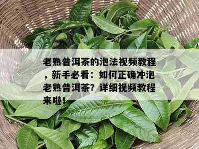 老熟普洱茶的泡法视频教程，新手必看：如何正确冲泡老熟普洱茶？详细视频教程来啦！