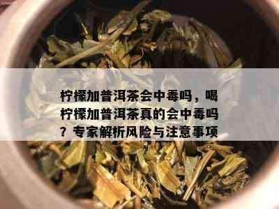 柠檬加普洱茶会中吗，喝柠檬加普洱茶真的会中吗？专家解析风险与注意事项