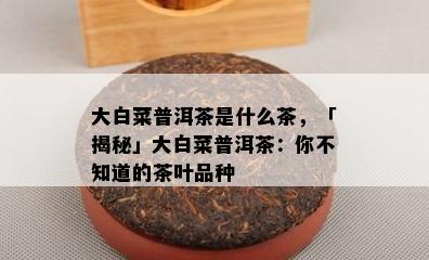 大白菜普洱茶是什么茶，「揭秘」大白菜普洱茶：你不知道的茶叶品种