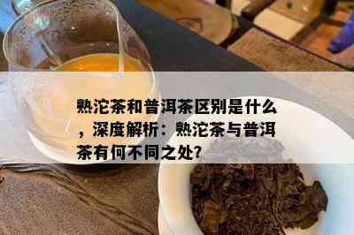 熟沱茶和普洱茶区别是什么，深度解析：熟沱茶与普洱茶有何不同之处？