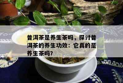 普洱茶是养生茶吗，探讨普洱茶的养生功效：它真的是养生茶吗？