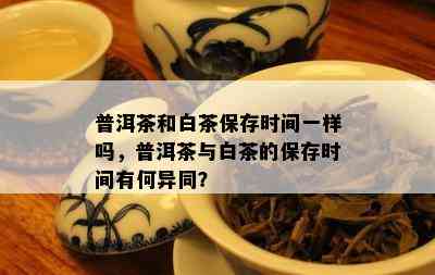 普洱茶和白茶保存时间一样吗，普洱茶与白茶的保存时间有何异同？