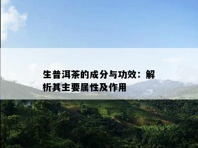 生普洱茶的成分与功效：解析其主要属性及作用