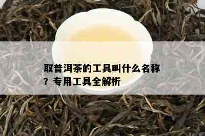 取普洱茶的工具叫什么名称？专用工具全解析