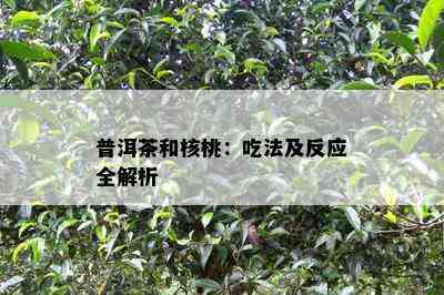 普洱茶和核桃：吃法及反应全解析