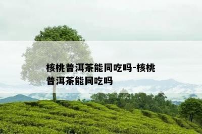 核桃普洱茶能同吃吗-核桃普洱茶能同吃吗