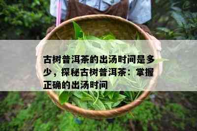 古树普洱茶的出汤时间是多少，探秘古树普洱茶：掌握正确的出汤时间