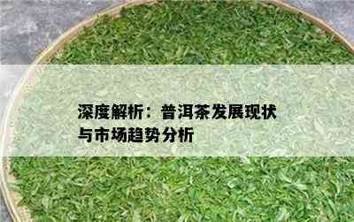 深度解析：普洱茶发展现状与市场趋势分析