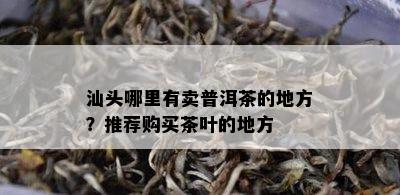 汕头哪里有卖普洱茶的地方？推荐购买茶叶的地方