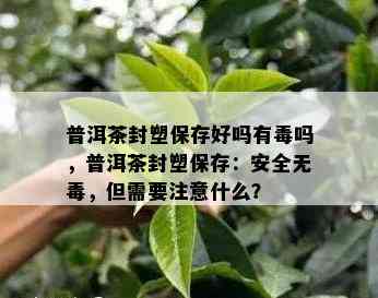 普洱茶封塑保存好吗有吗，普洱茶封塑保存：安全无，但需要注意什么？