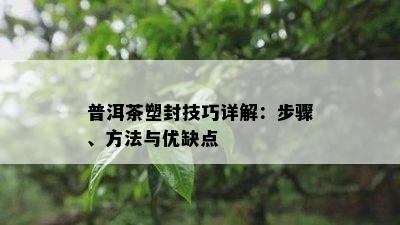 普洱茶塑封技巧详解：步骤、方法与优缺点