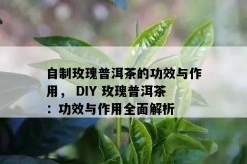 自制玫瑰普洱茶的功效与作用， DIY 玫瑰普洱茶：功效与作用全面解析 