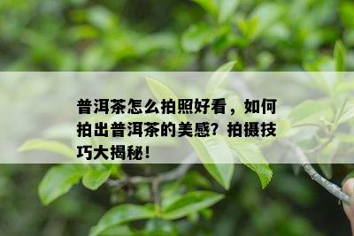 普洱茶怎么拍照好看，如何拍出普洱茶的美感？拍摄技巧大揭秘！