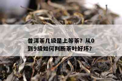 普洱茶几级是上等茶？从0到9级如何判断茶叶好坏？