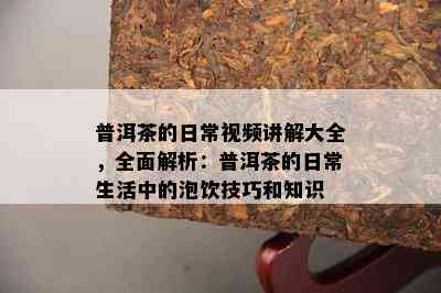 普洱茶的日常视频讲解大全，全面解析：普洱茶的日常生活中的泡饮技巧和知识