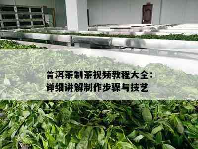 普洱茶制茶视频教程大全：详细讲解制作步骤与技艺