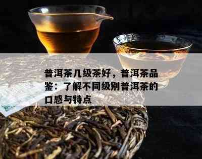 普洱茶几级茶好，普洱茶品鉴：了解不同级别普洱茶的口感与特点