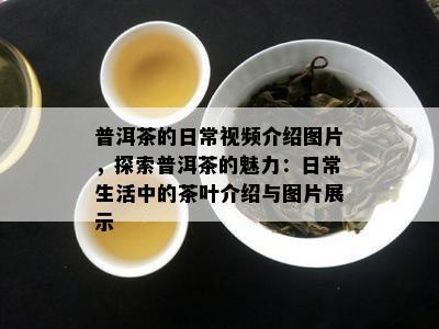 普洱茶的日常视频介绍图片，探索普洱茶的魅力：日常生活中的茶叶介绍与图片展示