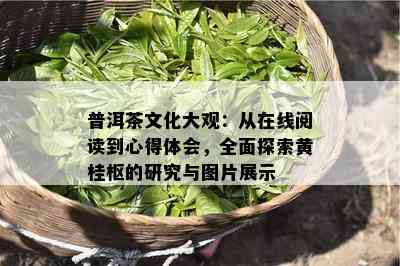 普洱茶文化大观：从在线阅读到心得体会，全面探索黄桂枢的研究与图片展示