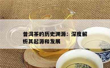 普洱茶的历史渊源：深度解析其起源和发展