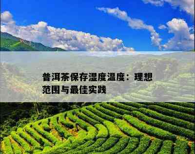 普洱茶保存湿度温度：理想范围与更佳实践