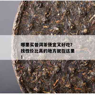 哪里买普洱茶便宜又好吃？找性价比高的地方就在这里！