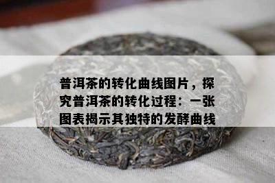 普洱茶的转化曲线图片，探究普洱茶的转化过程：一张图表揭示其独特的发酵曲线