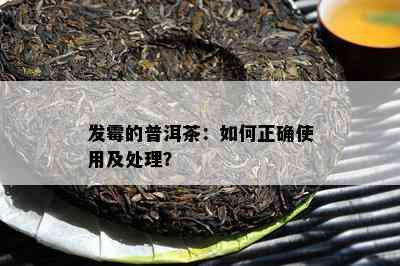 发霉的普洱茶：如何正确使用及处理？