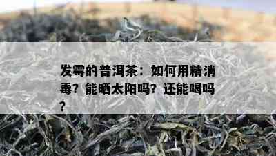 发霉的普洱茶：如何用精消？能晒太阳吗？还能喝吗？