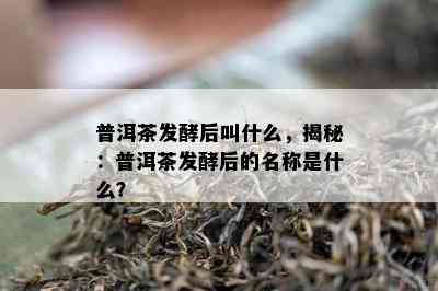 普洱茶发酵后叫什么，揭秘：普洱茶发酵后的名称是什么？